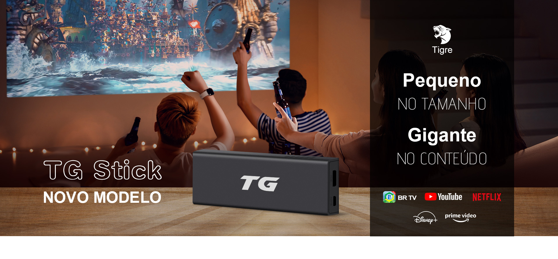 TG Stick
